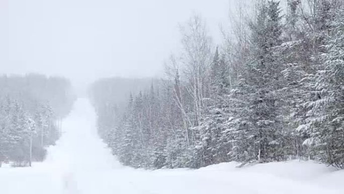 寒冷冬日的暴风雪