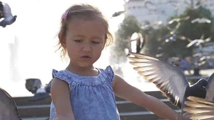 小可爱女孩在公园喂街头鸽子的特写镜头