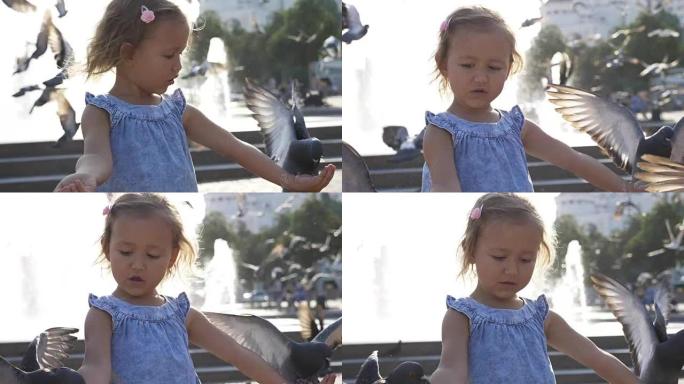 小可爱女孩在公园喂街头鸽子的特写镜头