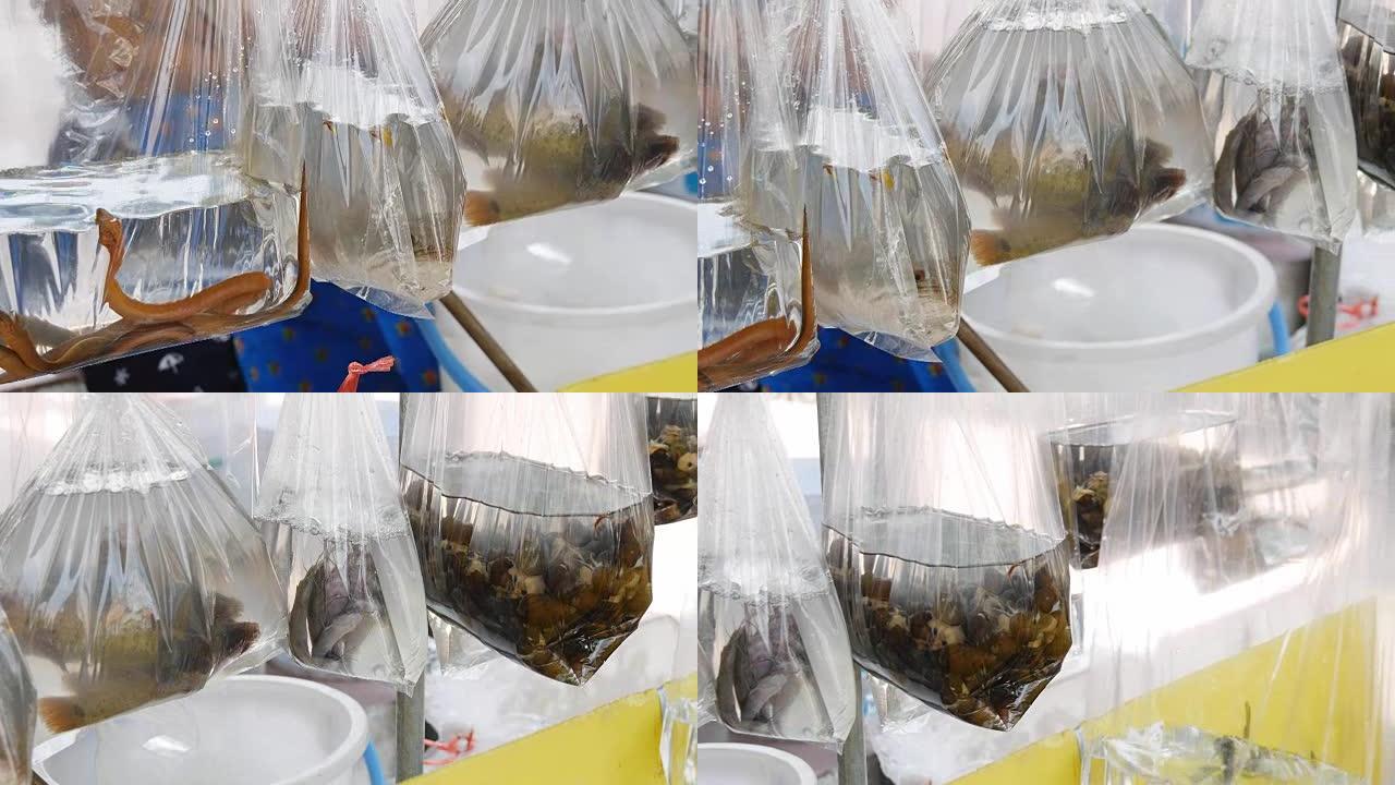 袋子里的鱼，悬挂着。透明的。东南亚一家宠物店的塑料袋。