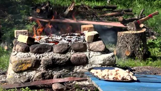 猪肉酱和篝火在花园壁炉中燃烧。全高清