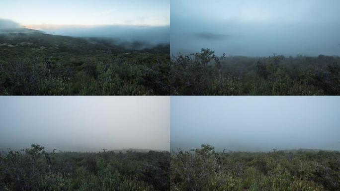 在拉古纳山 (Mt Laguna) 从夜晚到白天的云瀑布的延时拍摄，被索尼A7s相机锁定。