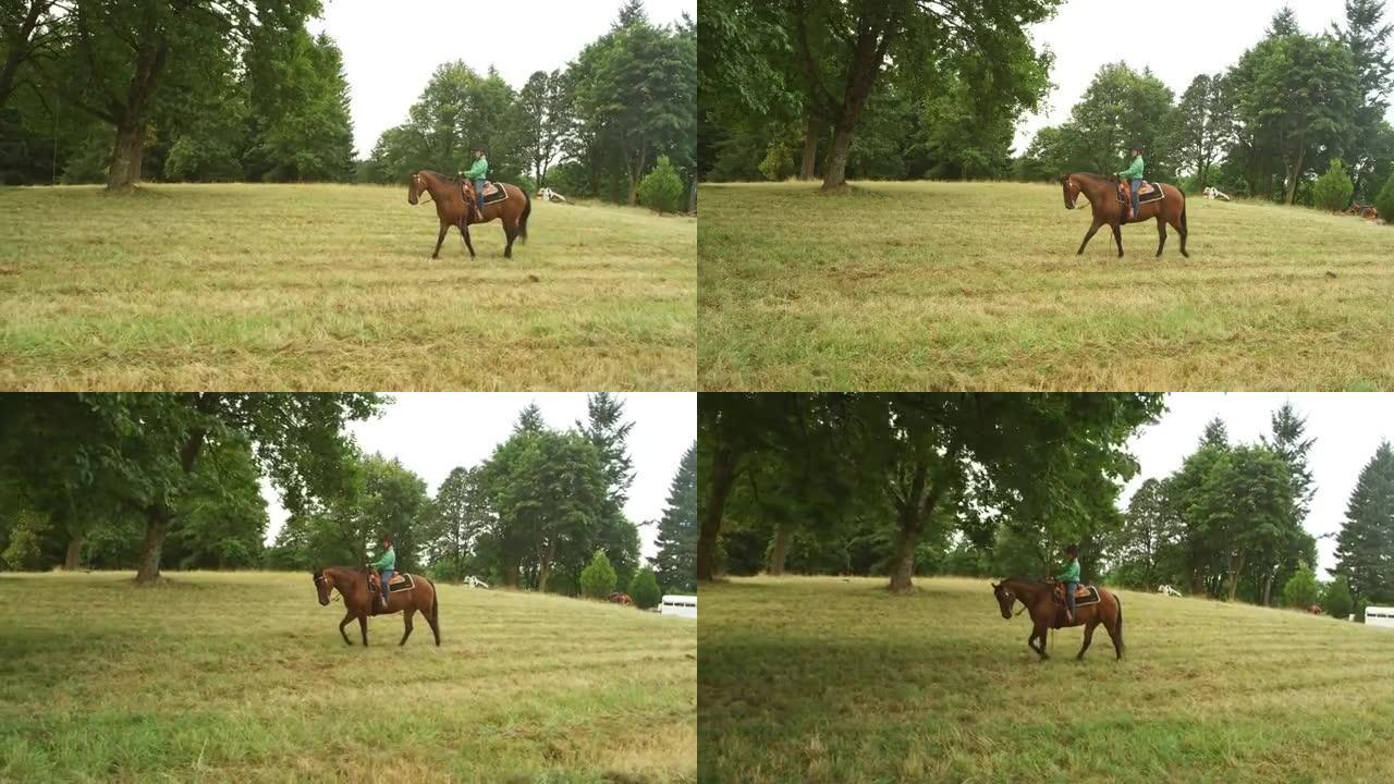 在草地上骑马的年轻女孩