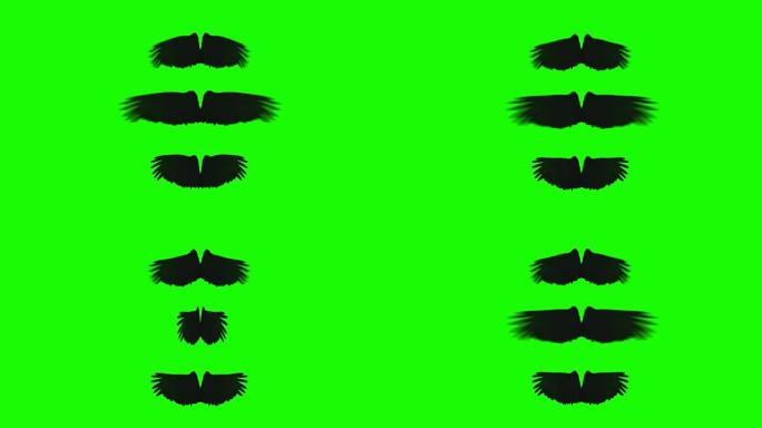 黑乌鸦的翅膀在绿色屏幕上以不同的节奏展开和挥舞