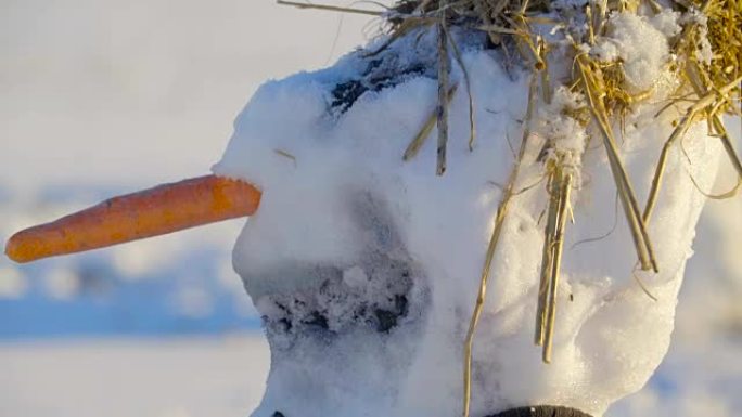 近距离观察雪人的胡萝卜鼻子