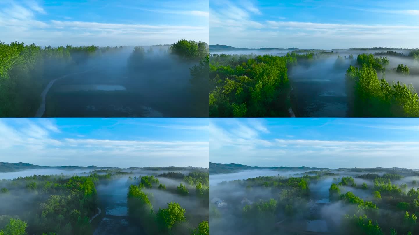 云雾森林 山间田野