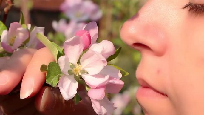 女人闻到了苹果花的味道，特写