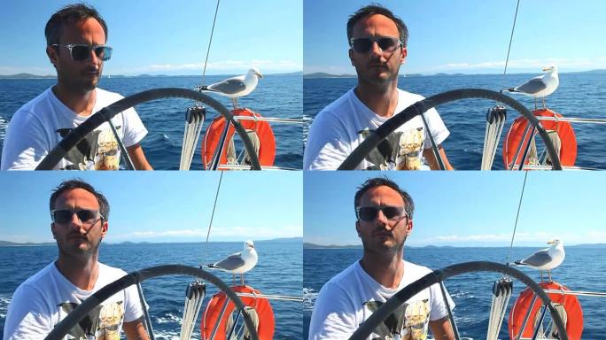 在亚得里亚海与海鸥一起航行的船长