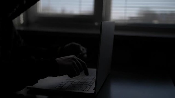 一名黑衣男子持有信用卡并锁定使用电脑的笔记本电脑为罪犯