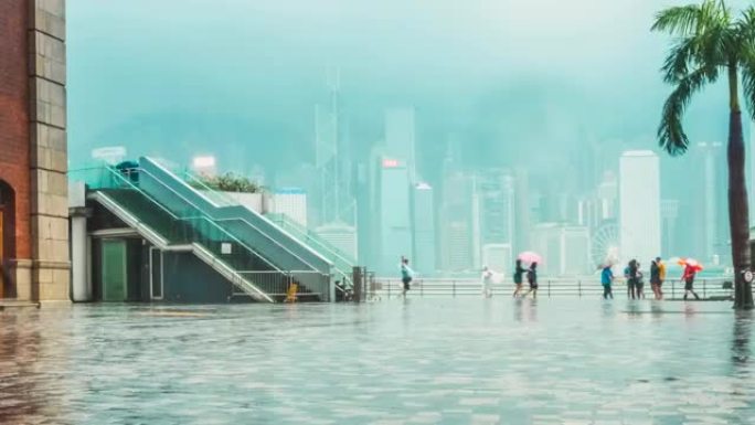 香港的大佛海马