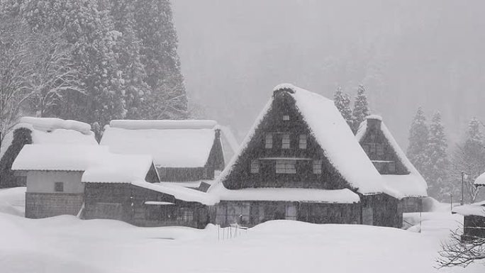 雪落在冬天的房子上，在富山，日本