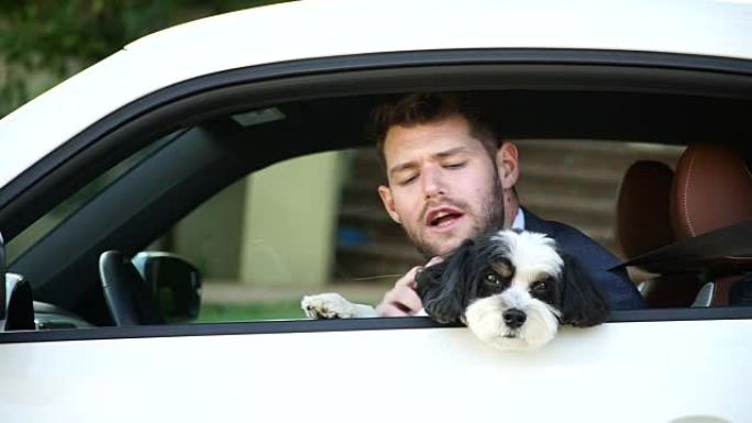 与宠物一起生活-商人与他的狗一起开车