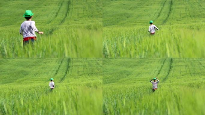 戴着绿色帽子的男孩在绿草丛中奔跑