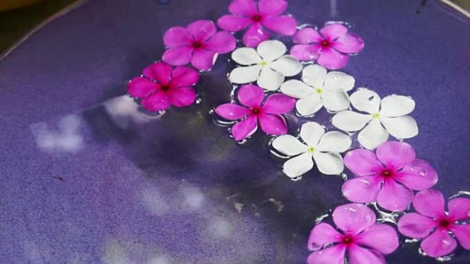 视频粉红色的花朵漂浮在碗里从顶视图。水疗装饰