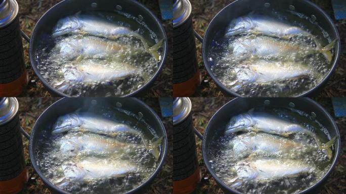 平底锅炒的新鲜鲭鱼