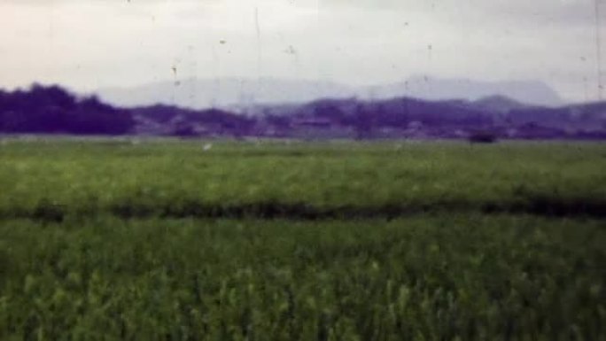 1951: 士兵探索日本农村稻田压路机。