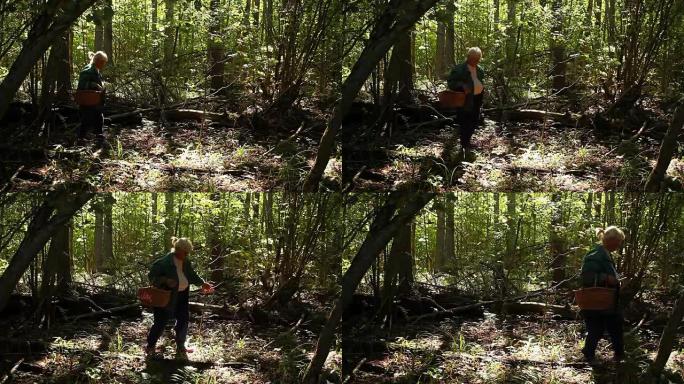 一位老妇走过树林寻找蘑菇