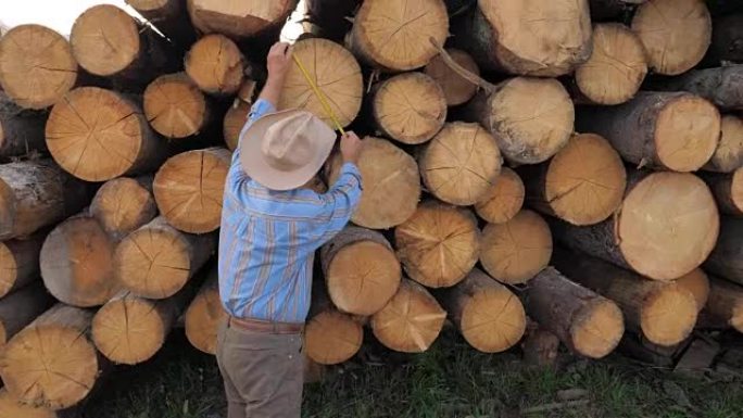 戴着帽子的商人沿着砍伐的树木进行检查。
