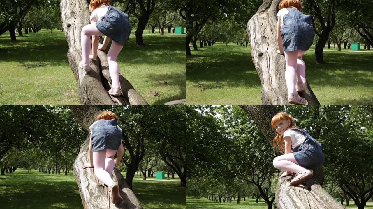 穿着牛仔连衣裙的小姜女孩正在爬树
