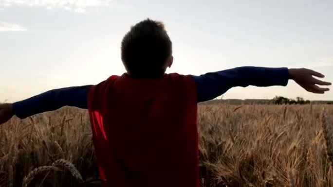 拥有超人斗篷的男孩站在金色的田野里