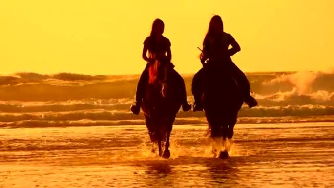 日落时在海滩上骑马的马
