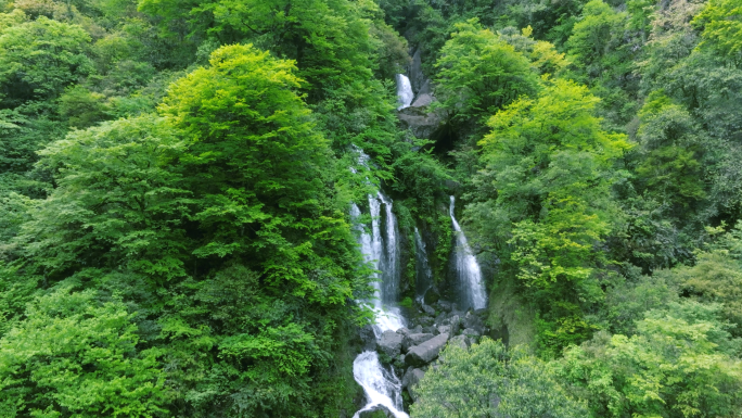 唯美神奇原始森林溪流瀑布翠绿山水航拍素材