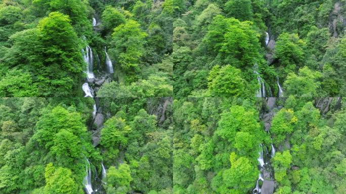 唯美神奇原始森林溪流瀑布翠绿山水航拍素材