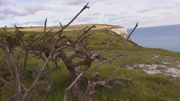 英国海岸多佛白崖的美丽大自然
