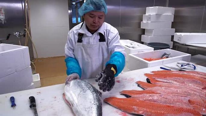 亚洲男子在鱼厂的餐桌上切鲑鱼片。多莉开枪