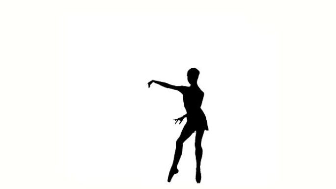 美丽的芭蕾舞女舞者。轮廓