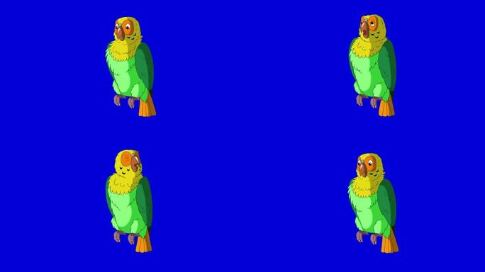 五颜六色的鹦鹉说话。经典手工动画