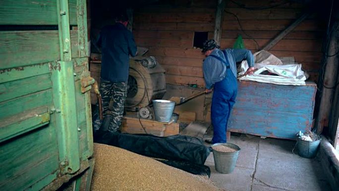 农业夏末工程。男人在谷仓用复古机器筛选谷物