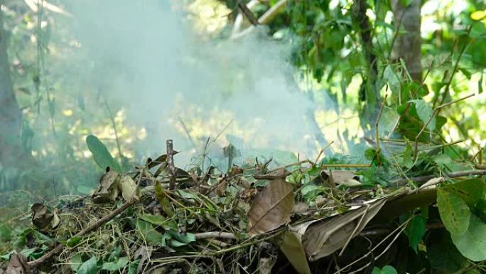 竹屋花园背景下带阳光燃烧的4k烟