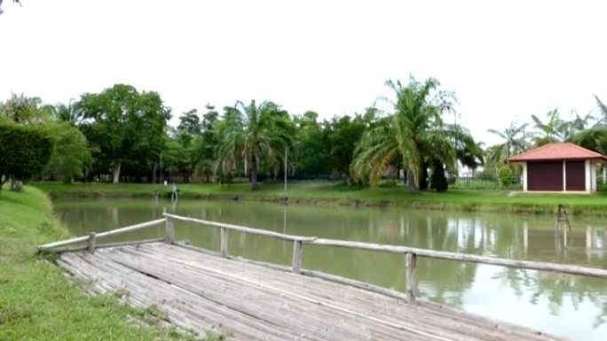 池塘水边的竹墩