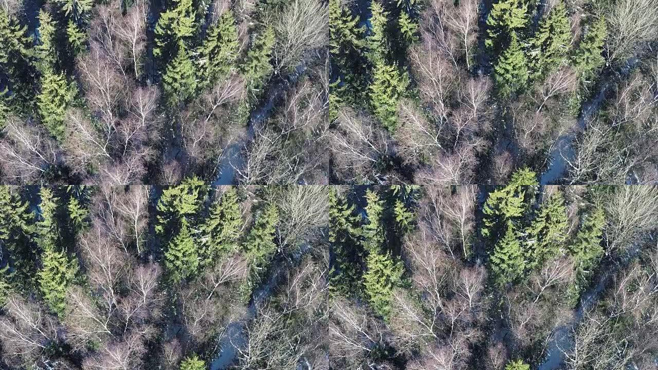 冬季混交林的空中场景
