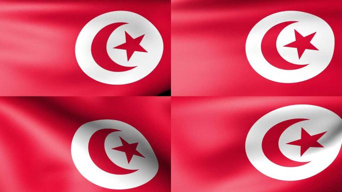 突尼斯国旗挥舞着