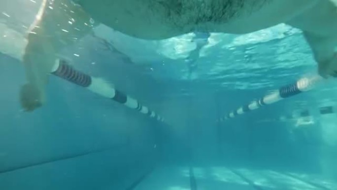 蛙泳: 运动员在游泳池游泳 (水下视图-动作凸轮)