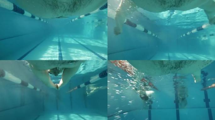 蛙泳: 运动员在游泳池游泳 (水下视图-动作凸轮)
