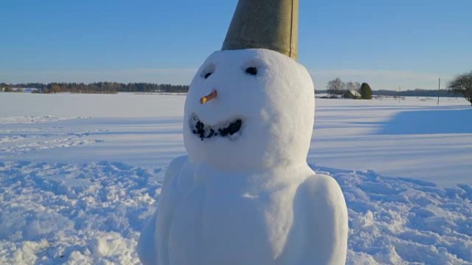 近距离观察大脸雪人