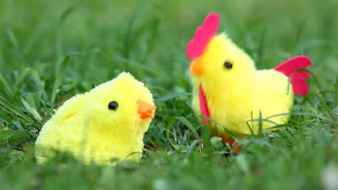 鸡玩具在草地上摇晃或跳舞