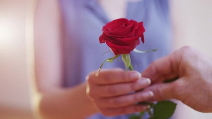 男人给女人一朵红玫瑰