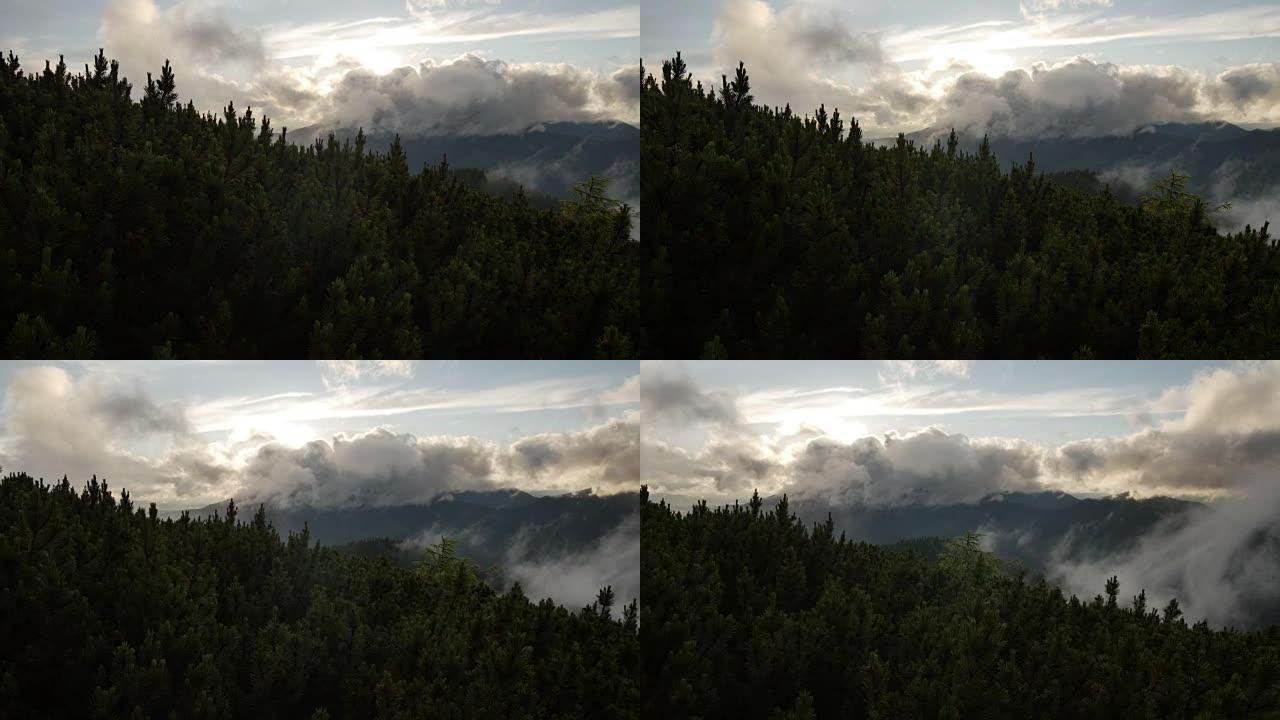 云杉在山顶上有圆锥体，背景是快速运行的云。平稳运动