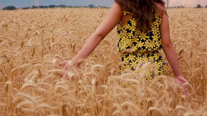 女孩在小麦里