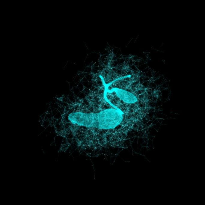 胆胰腺人体器官3D旋转粒子点线元素