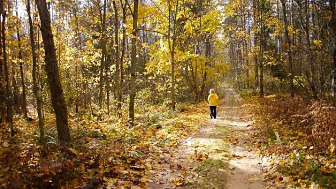 老年运动女子在秋季森林慢跑
