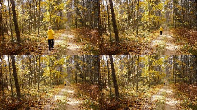 老年运动女子在秋季森林慢跑