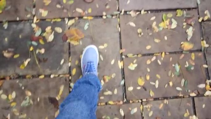脚在公园路上行走，上面覆盖着秋天的树叶