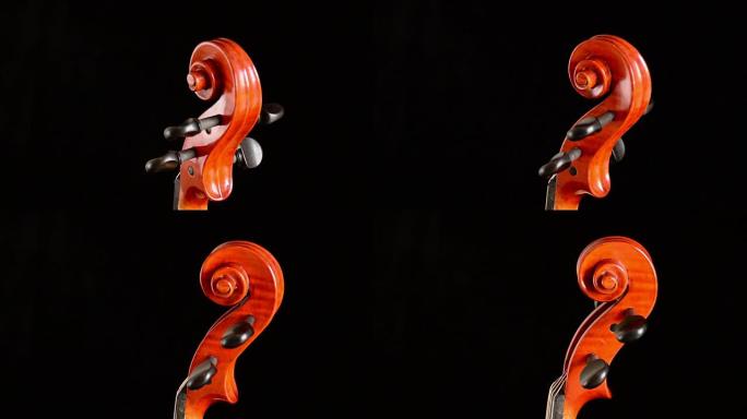 带有钉子的小提琴或中提琴卷轴在黑色背景下转动