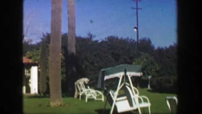 1947: 棕榈树暑假休息区绿草草坪椅子家具。