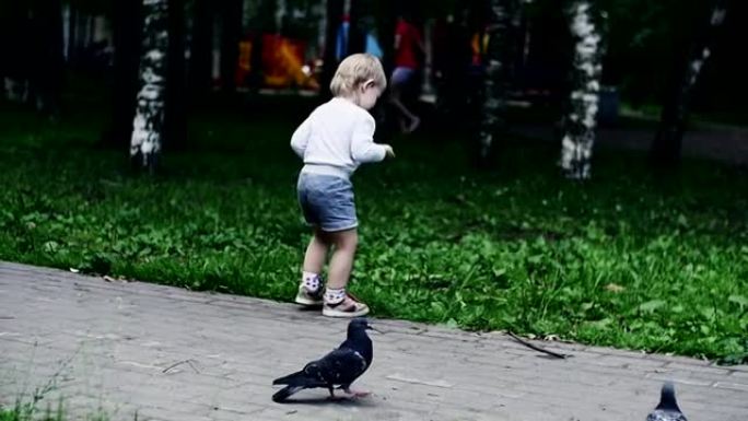 穿短裤的小男孩把葵花籽扔给鸽子。夏季公园。童年